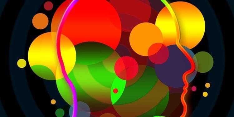 Unleashing Your Inner Warrior: Building Mental Strength Through Training and Resilience