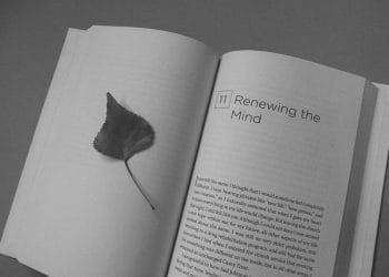 Unlocking the Power of Positive Insight: Transforming Your Mindset for Lasting Happiness