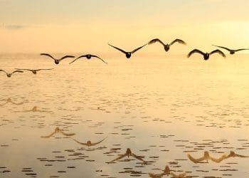 Unbreakable: Building Resilience in the Face of Adversity