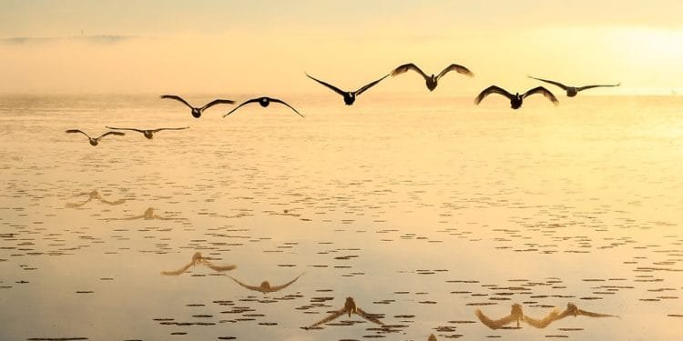 Unbreakable: Building Resilience in the Face of Adversity