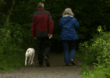 The Role of a Financial Advisor: Why You Need One at Every Stage of Life