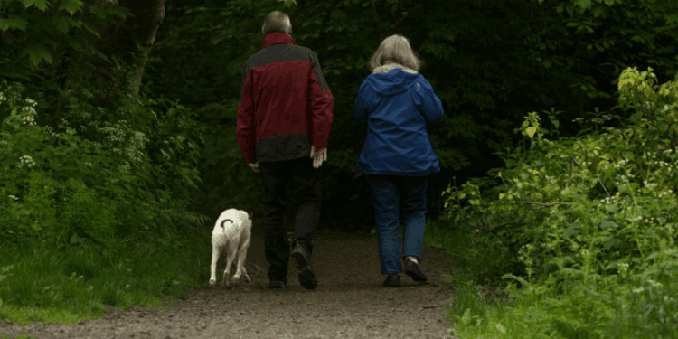 The Role of a Financial Advisor: Why You Need One at Every Stage of Life