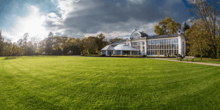 Understanding Different Types of Grass Seed: Why It Matters for Your Lawn