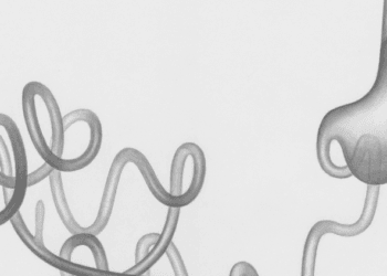 Nature’s Answer to Reflux: Understanding Alginate Therapy