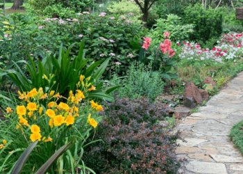 Transform Your Yard with These 8 Outdoor Landscaping Ideas