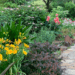 Transform Your Yard with These 8 Outdoor Landscaping Ideas
