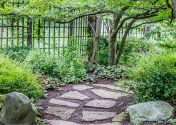 Creative Pathway Ideas Using Natural Stones and Pavers